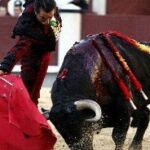 Derechazo de El Fundi en Las Ventas