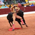 Luis David Adame resultó cogido y herido en la axila por el tercero de la tarde