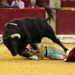 Talavante se abandona; Padilla hace la gesta y Morante lo borda