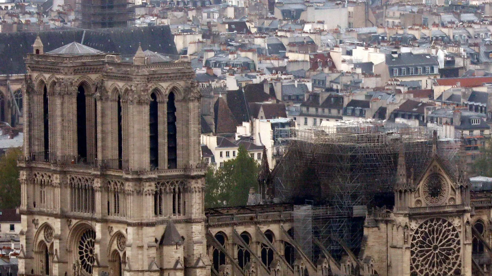 La Catedral de Notre Dame esta mañana