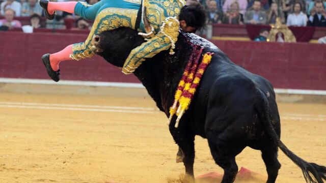 Imagen de la cogida que sufrió el miércoles