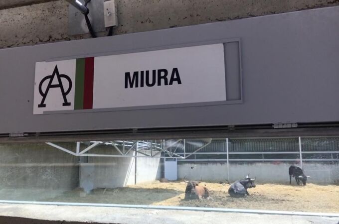 Los toros de Miura en los Corrales del Gas de Pamplona / N.R. Los toros de Miura en los Corrales del Gas de Pamplona / N.R.