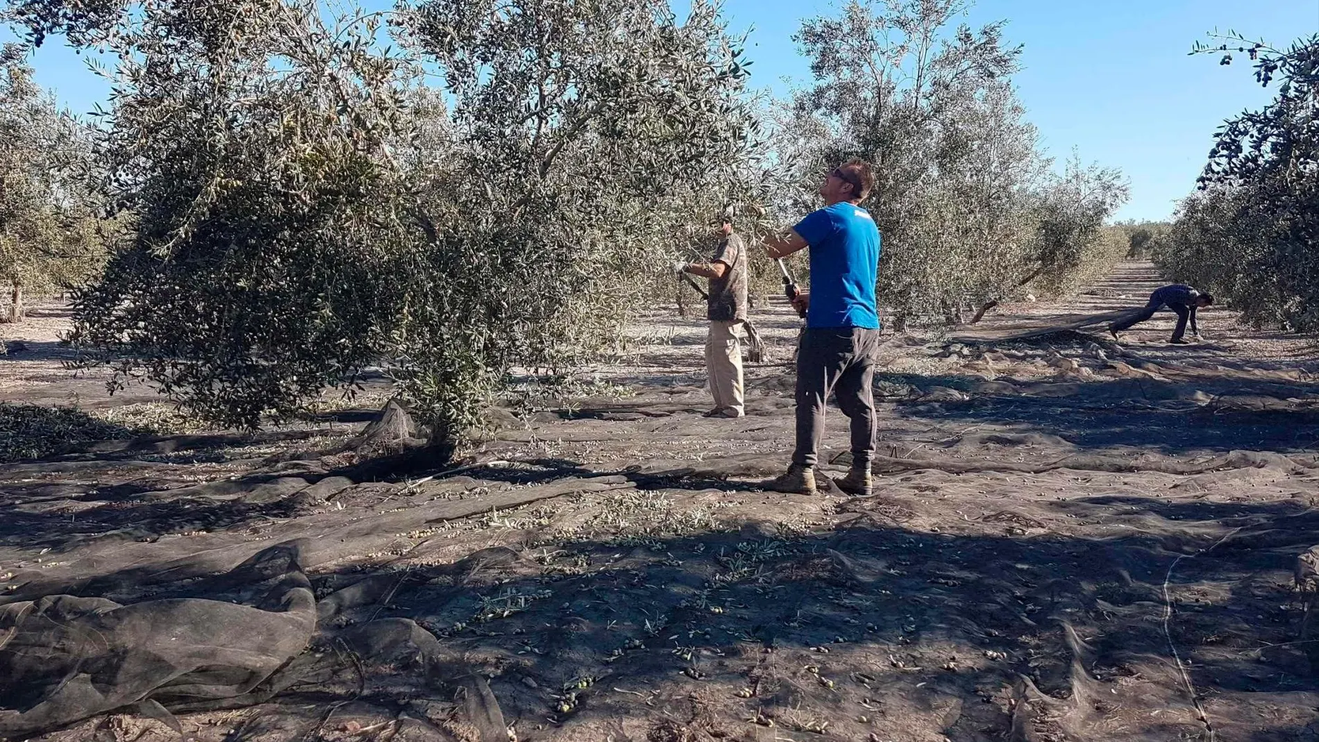 Asaja reclama una PAC fuerte y sin recortes