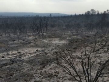 Los incendios forestales asolan Castilla-La Mancha