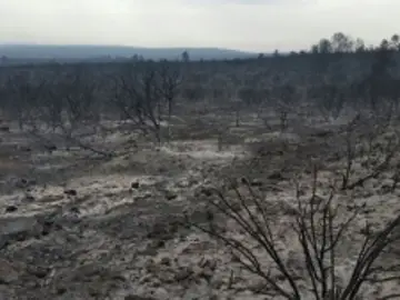 Los incendios forestales asolan Castilla-La Mancha Los incendios forestales asolan Castilla-La Mancha