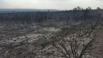 Los incendios forestales asolan Castilla-La Mancha