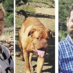 Leben, este dogo de burdeos de siete años que sufre leishmaniosis, es por el que litigia este ex matrimonio