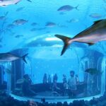 El acuerdo Poema del Mar presume de tener la mayor ventana curva de exposición que existe en el mundo