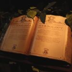 Planes navideños: Harry Potter The Exhibition