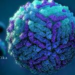 El virus del zika