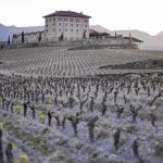 Ricardo y José Miguel Arambarri son el alma máter de este proyecto. A la izquierda, vista de Bodega Classica