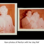 Ocho mil dólares por un mechón de pelo de Marilyn Monroe