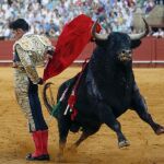 Alejandro Talavante, en la faena con la muleta a su segundo toro de la Feria de San Miguel