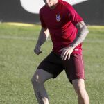 Fernando Torres será titular hoy frente a los rusos del Rostov