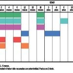 Un mismo calendario de vacunas para toda España