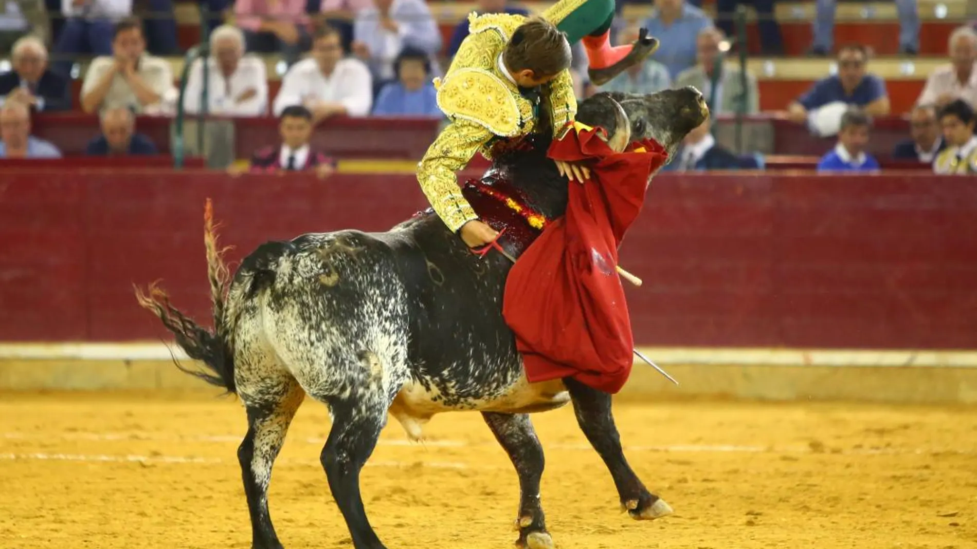 Alejandro Mora sufre una cornada de cinco trayectorias en el triángulo de Scarpa