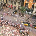 «No es cuestión de estética, sino de seguridad»