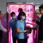 Voluntarios transportan verduras crecidas dentro de la cabina de simulación espacial utilizada para preparar la misión a la Luna/Reuters