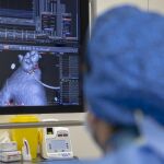 Técnicas digitales para borrar las arritmias
