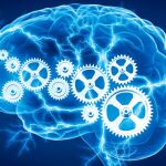 Tenemos un cerebro distinto cada día