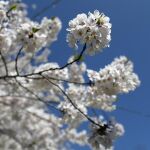 Foto: Gtres