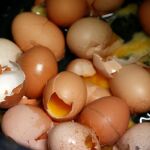 la alerta alimentaria seha extendido ya a quince países
