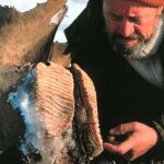 Restos de un mamut, en una imagen de archivo