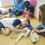 Los hermanos Alexey y Denís, dos niños rusos adoptados afectados por el síndrome de alcoholismo fetal, en la sesión de terapia asistida abrazan a Laica y Lila, sienten su corazón, inspiran y expiran, y así reducen su ansiedad. Miquel González/shooting