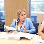 La vicepresidenta de la Junta, Rosa Valdeón, preside el pleno del Consejo General de Empleo