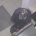 "Denis", era el “cerebro” de una estructura criminal que infectaba con un software malicioso los sistemas informáticos de entidades bancarias