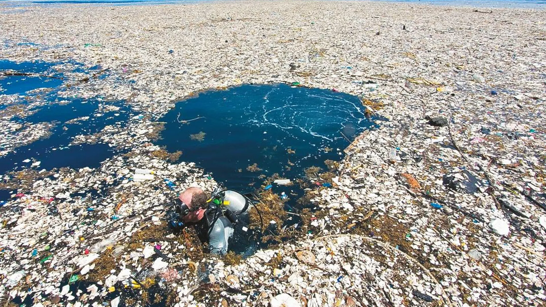 Cada 10 gramos de heces contenían unas 20 micropartículas de plástico. Aún no saben cómo puede afectar al organismo humano