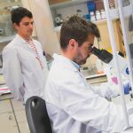 En la imagen, el jefe del grupo Biología Vascular Hepática, Jordi Gracia–Sancho