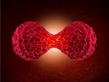 Célula cancerosa Célula cancerosa