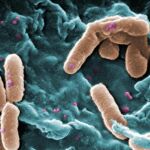 Objetivo: reducir la cifra de infecciones hospitalarias