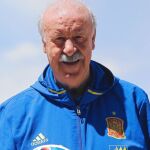 Vicente del Bosque