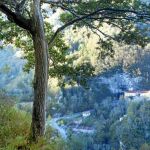 Uno de los senderos del Parque Picos de Europa