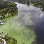 El lago Okeechobee, en el sur de Florida / Twitter