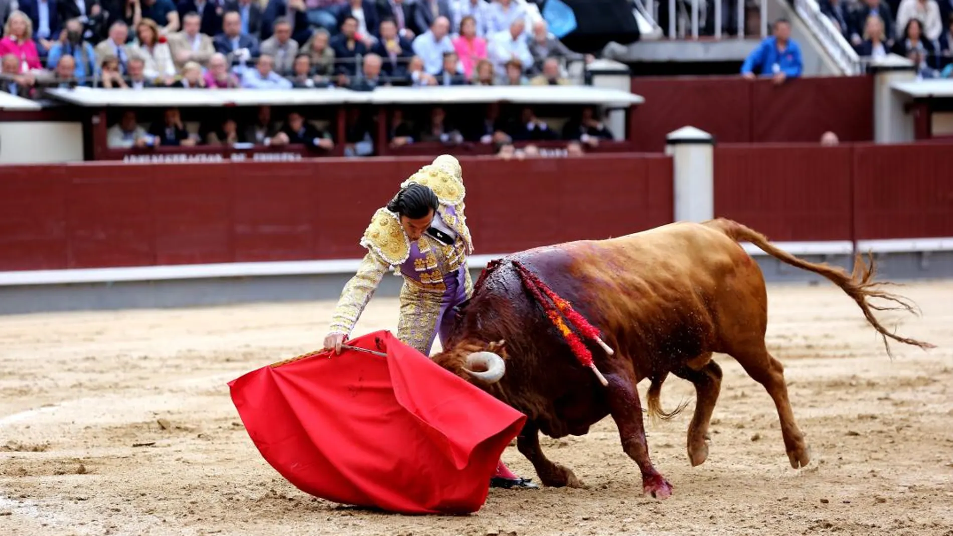 David Mora toreando por el pitón derecho ayer en la decimoquinta de San Isidro. Foto: Cristina Bejarano