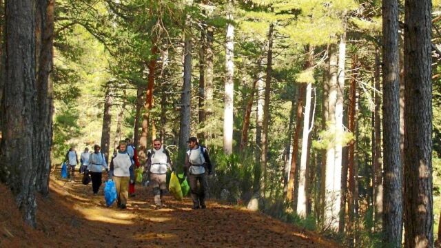 Guerra a la «basuraleza»