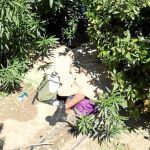 Un menor no acompañado durmiendo ayer bajo uno de los arbustos de la plaza