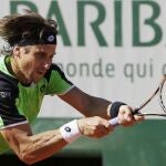 David Ferrer