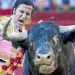 David Mora durante la faena de muleta en Valencia, ayer