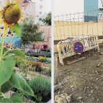 Huerto de Tetuán. A la izquierda, este huerto urbano, cuando fue inaugurado por los vecinos, en todo su esplendor. A la derecha, estado que mostraba este emplazamiento hace apenas dos días, vallado y sin rastro visible de vegetación.