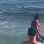 Imagen de dos bañistas, pendientes de lo que hace el tiburón
