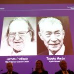 Un Nobel para la lucha contra el cáncer