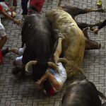 Los percherones