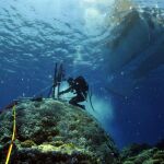El pasado de la temperatura de la superficie del océano y del nivel del mar se pueden describir mediante mediciones en corales vivos y fósiles. Imagen: Eric Matson / Instituto Australiano de Ciencias del Mar.