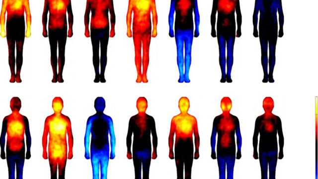 Mapa de las emociones humanas