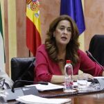 La consejera andaluza de Educación, Sonia Gaya (c)