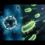 Las bacterias resistentes se cobran 35.000 vidas al año